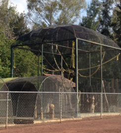 Parque Zoológico Moroleón